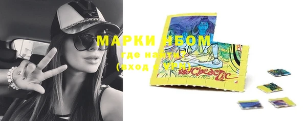ПСИЛОЦИБИНОВЫЕ ГРИБЫ Арсеньев
