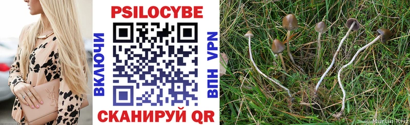это Telegram  Стародуб  Галлюциногенные грибы Psilocybine cubensis 